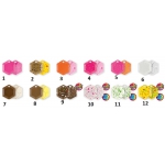 RAPTURE  HEXA  BOTTOM MAG